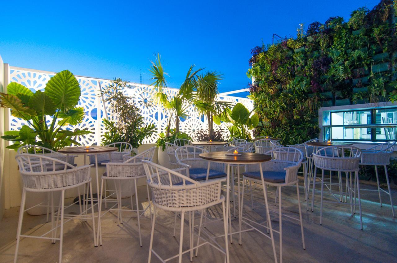Hotel Morgana By Iter Sensibus Playa del Carmen Exterior foto